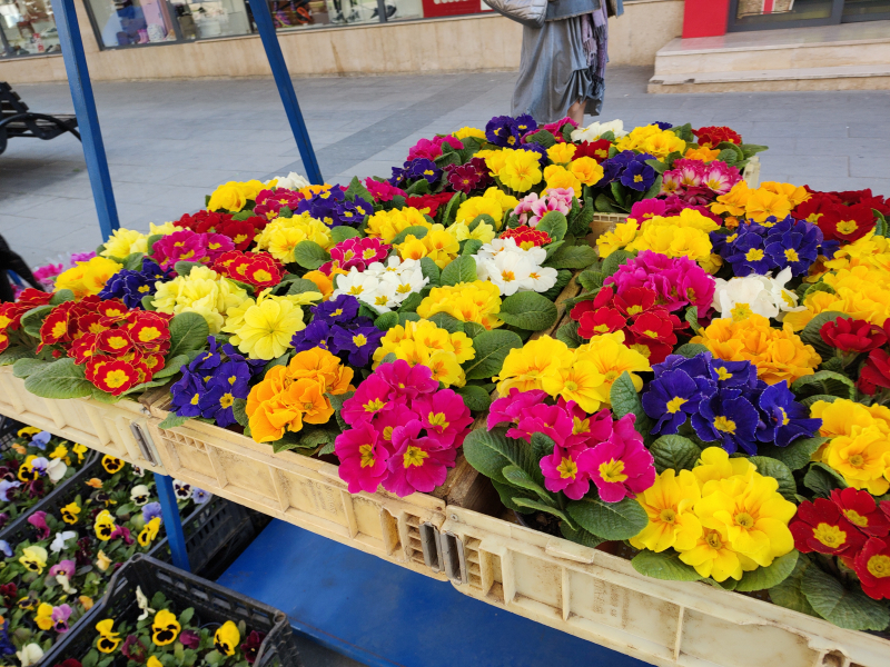 Foto: OK Radio, M.Spirić